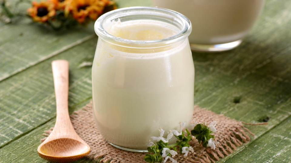 11 лучших заквасок для йогурта в 2025 году