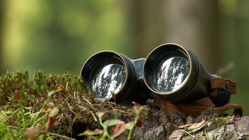 Лучшие бинокли 2025