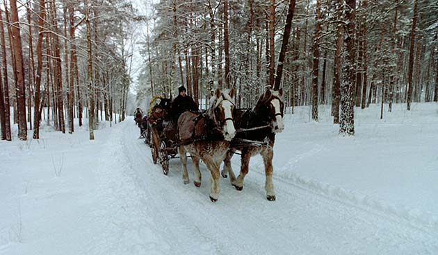 Конная прогулка