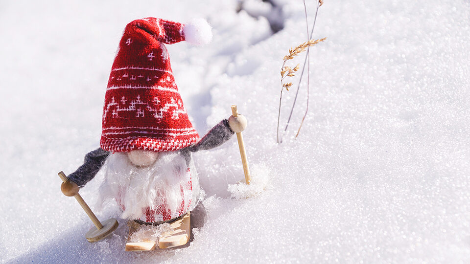 Выходные и праздничные дни в феврале 2026 года