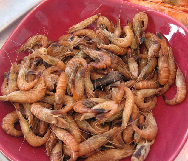 Atlantic (northern) shrimp, or chilim