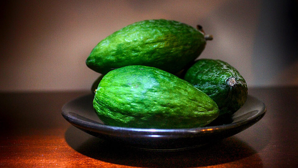Výhody a poškození feijoa