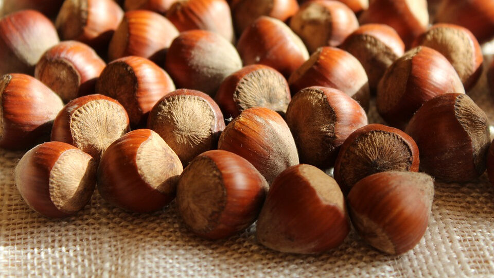 Поздравления с Ореховым Спасом 2026