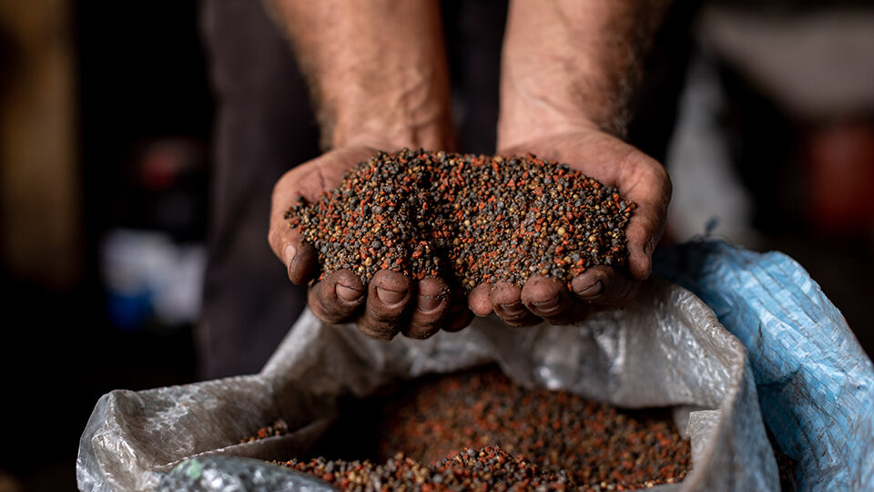 Комплексные удобрения