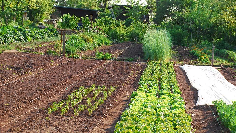 Открытие дачного сезона