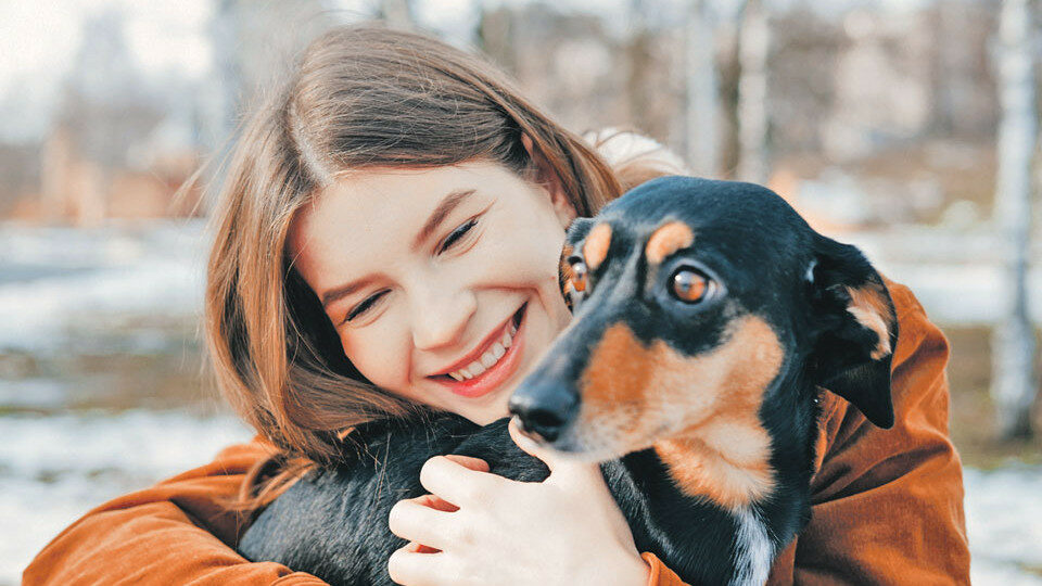 Стоит ли заводить собаку в квартире