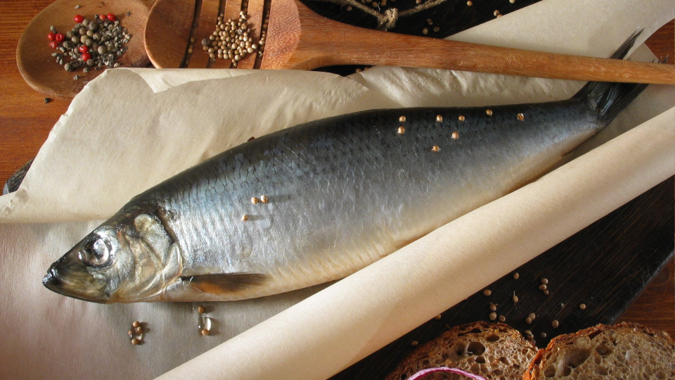 Как правильно хранить рыбу