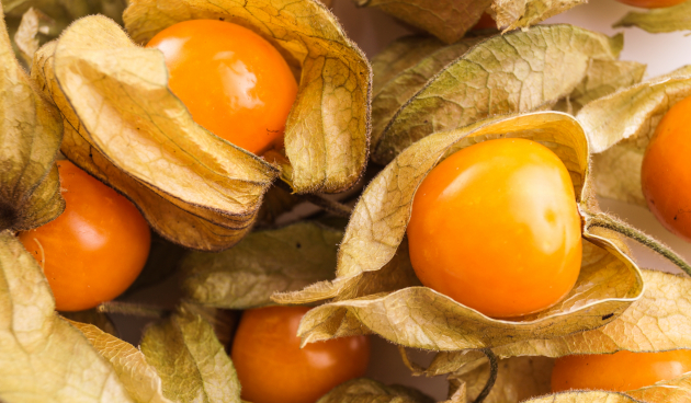 Физалис перуанский