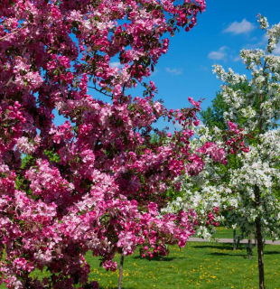 коломенское москва
