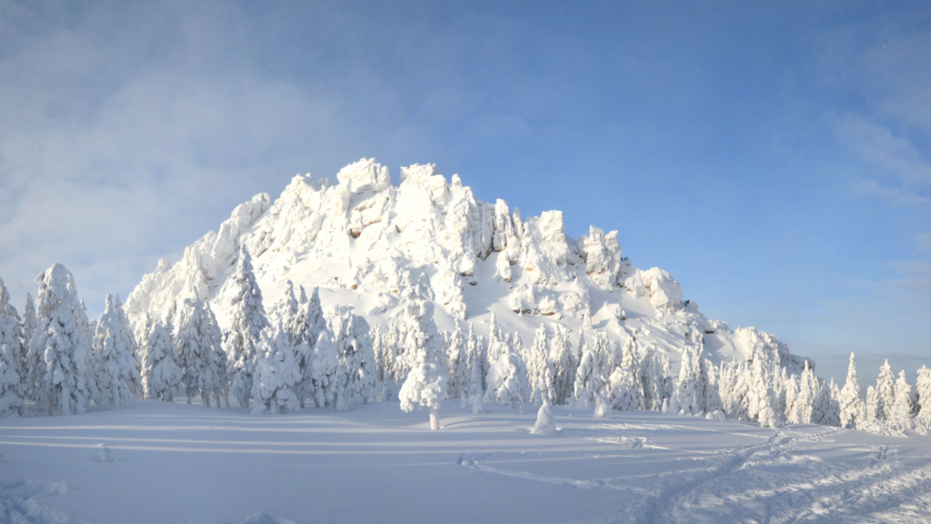 гребень откликной