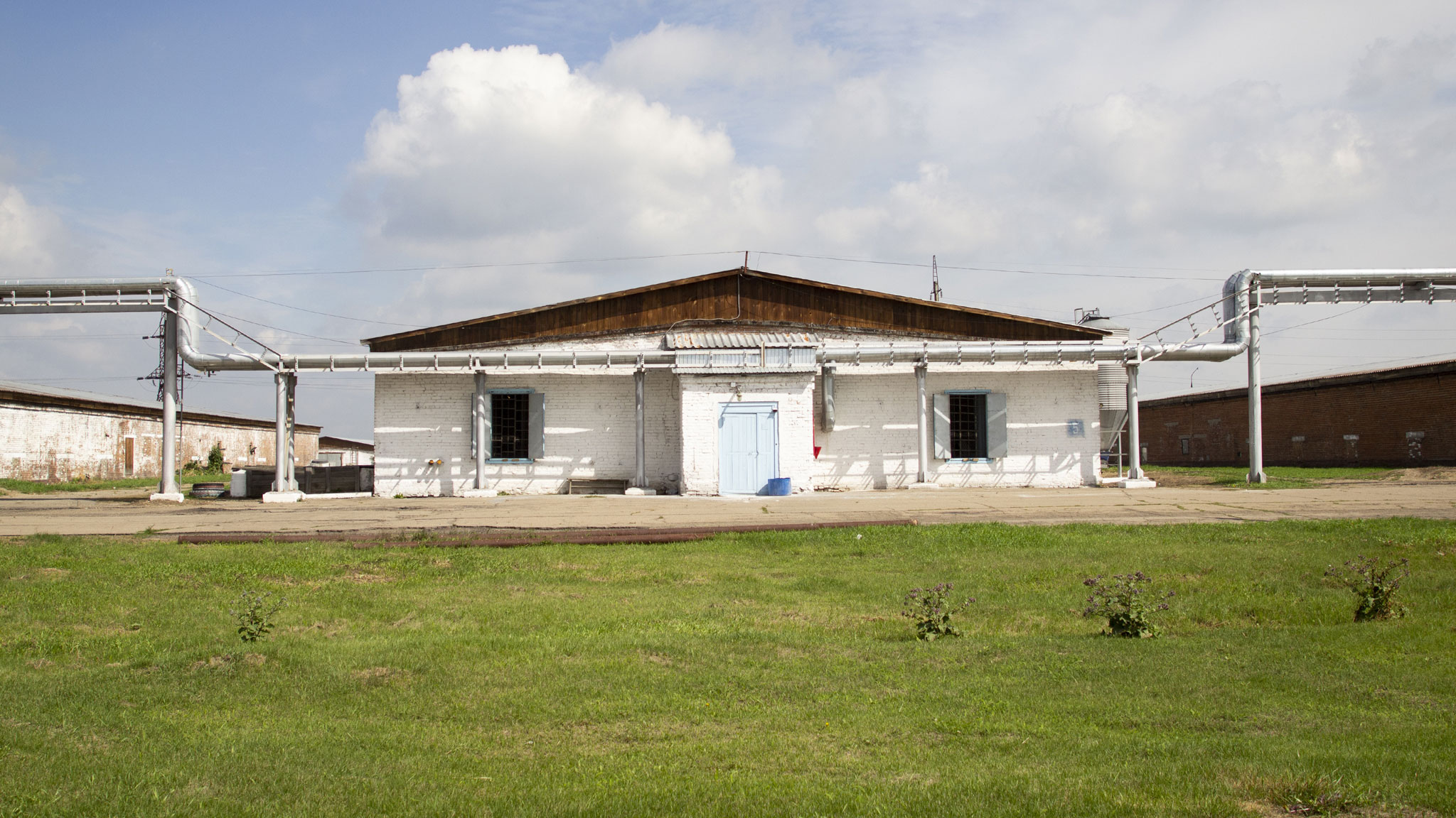 птицефабрика