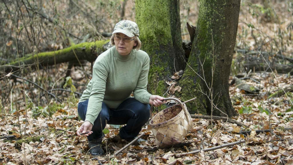 грибник осенью в лесу