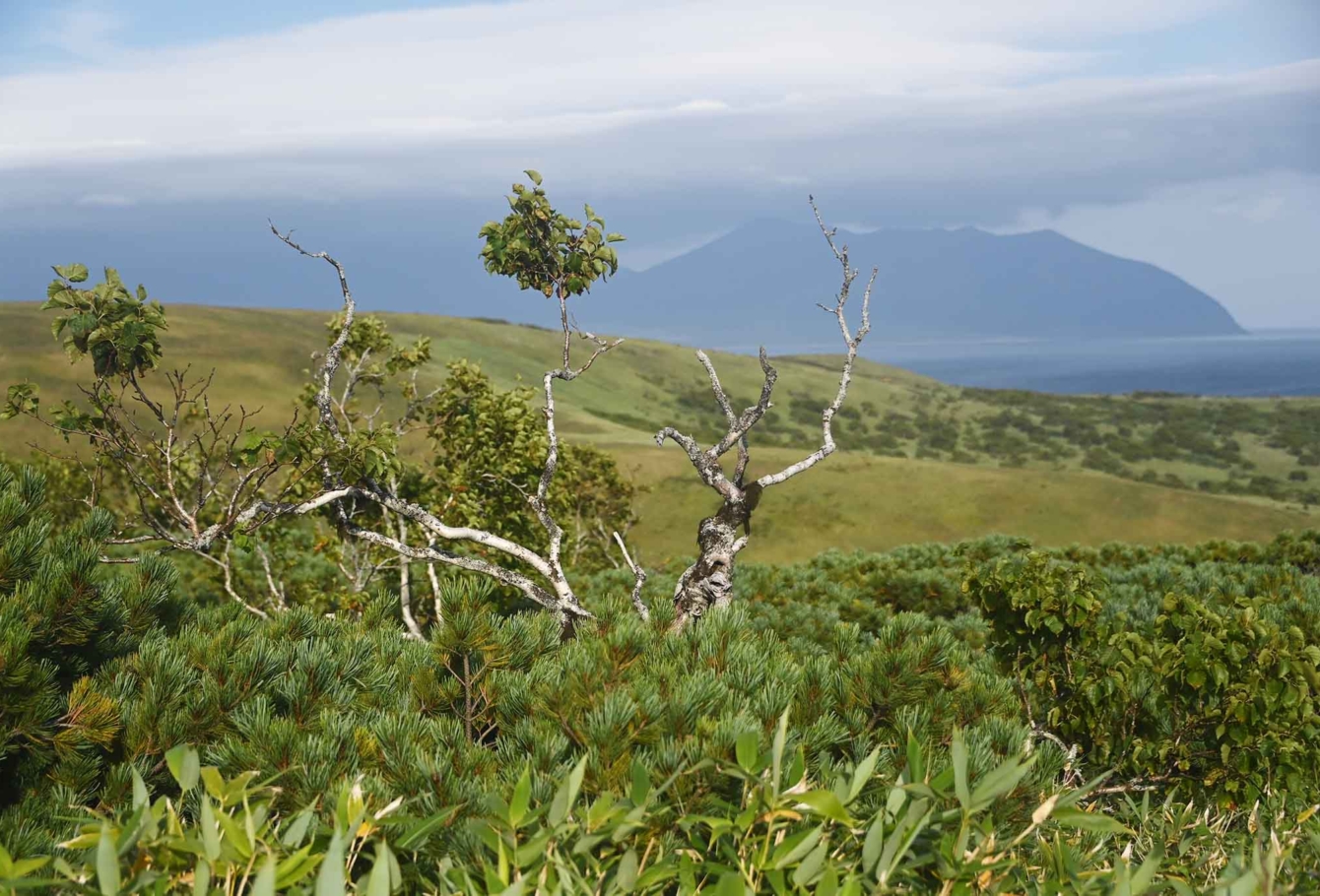 экспедиция на курилы 51(2)