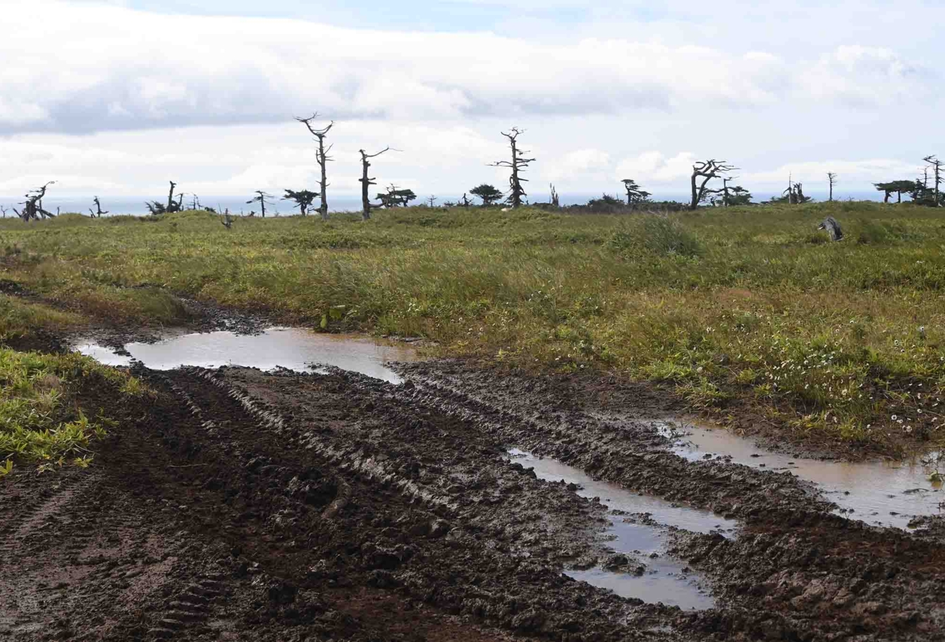 экспедиция на курилы VEL_1038