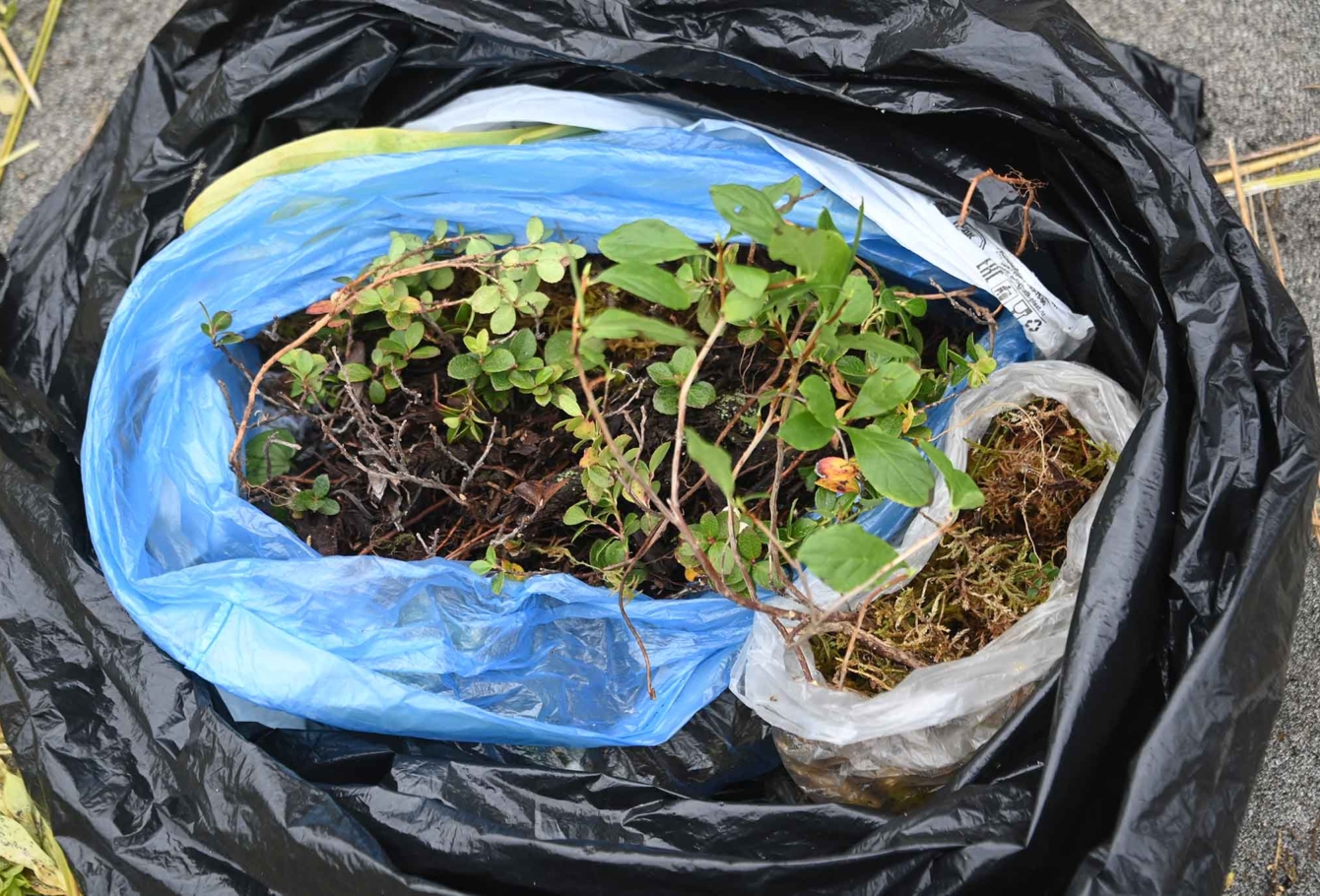 экспедиция на курилы VEL_7427