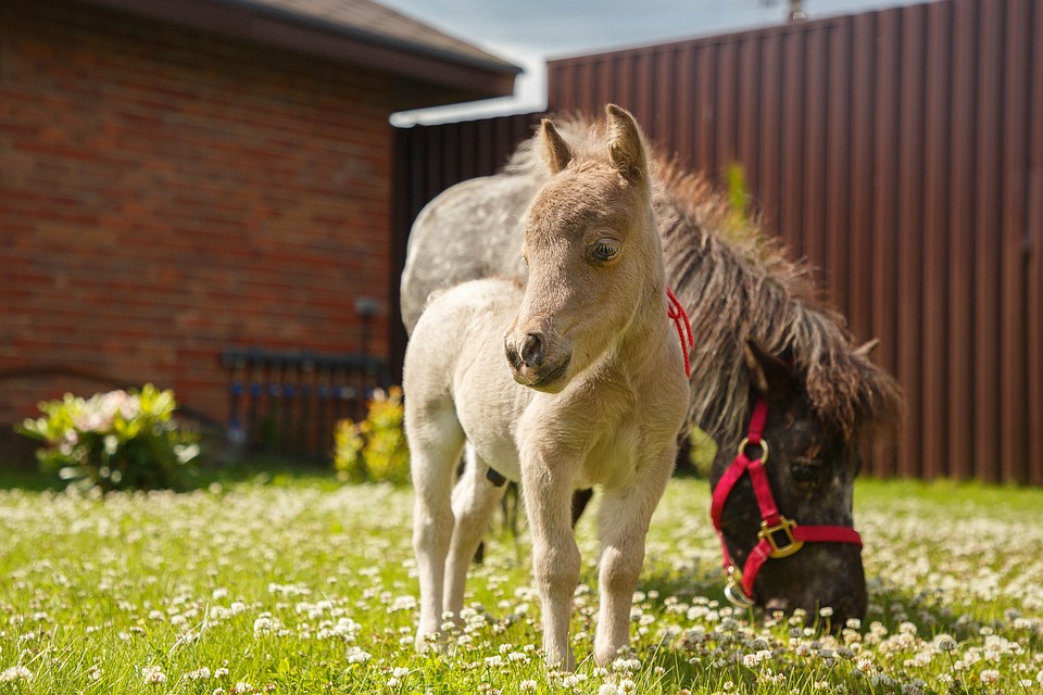 vopros-kak-viglyadel-gulliver-utrom-porno-znamenitosti-estrada