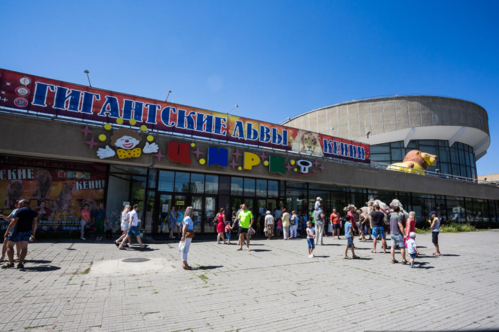 Волгоградский цирк приглашает на программу ГИГАНТСКИЕ ЛЬВЫ КЕНИИ. Фото: Олег ДИМИТРОВ.