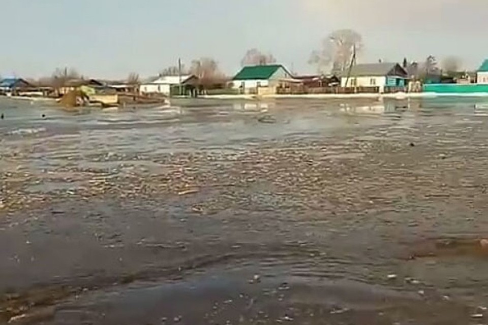 Фото местных блядей