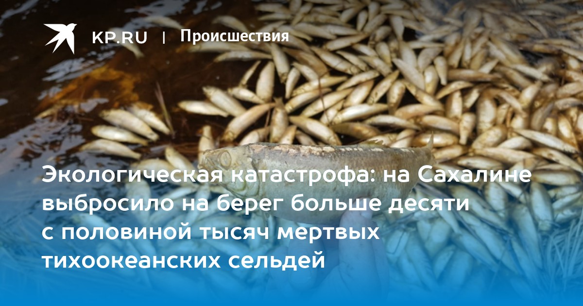 Німецькі екологи оскаржують у суді завершення будівництва "Північного потоку-2" - Цензор.НЕТ 471