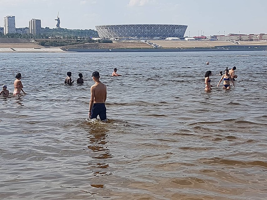 Сделать клетку для цыплят в домашних условиях 28 Сделать клетку для цыплят в домашних условиях 93