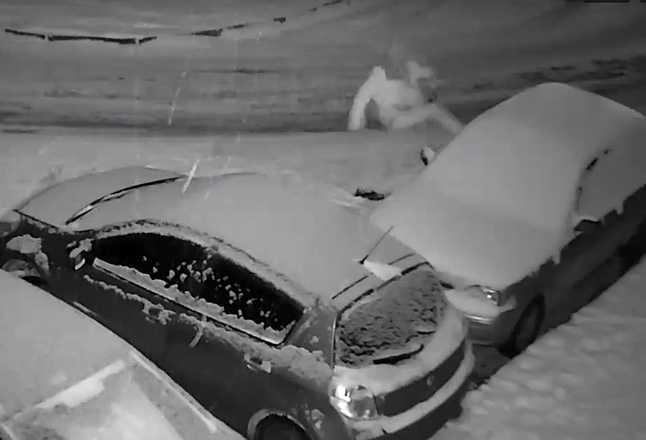 zhirniy-voditel-i-hozyayka