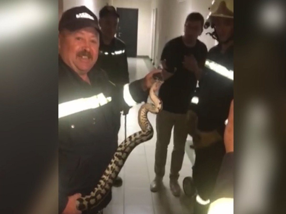 Видео Женский Туалет Азия Скачать