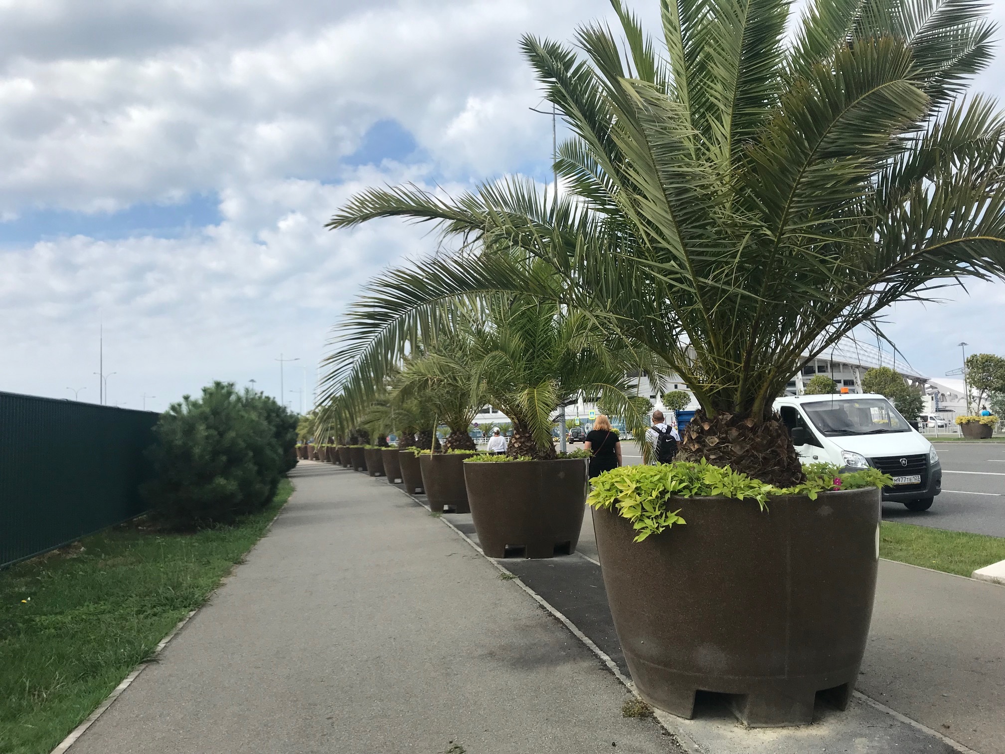 1 июня в кубанских здравницах открывается курортный сезон.