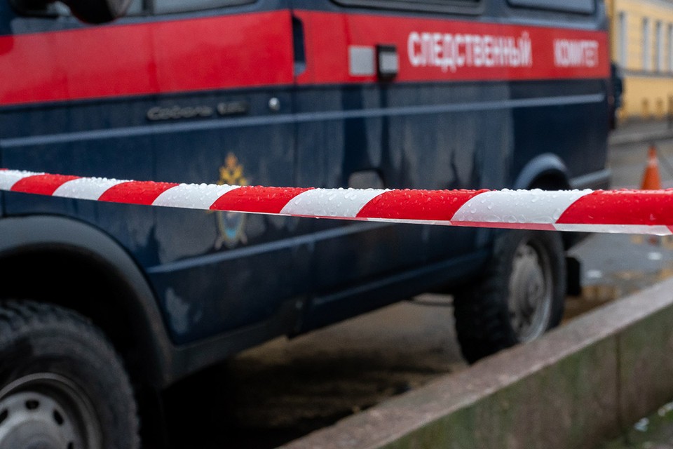 Судя по всему, одно из животных напало на ребенка, после чего и случилась трагедия. Однако все подробности выясняет следствие.