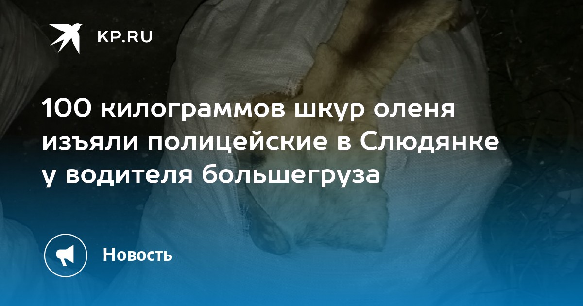 100 килограммов шкур оленя изъяли полицейские в Слюдянке у водителя большегруза - Vimarsana News