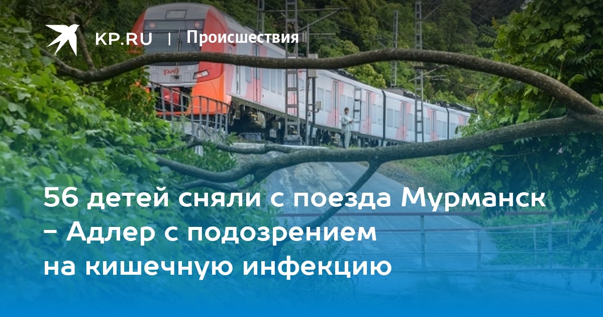 20 детей сняли с поезда Мурманск-Адлер с подозрением на кишечную инфекцию - Vimarsana News