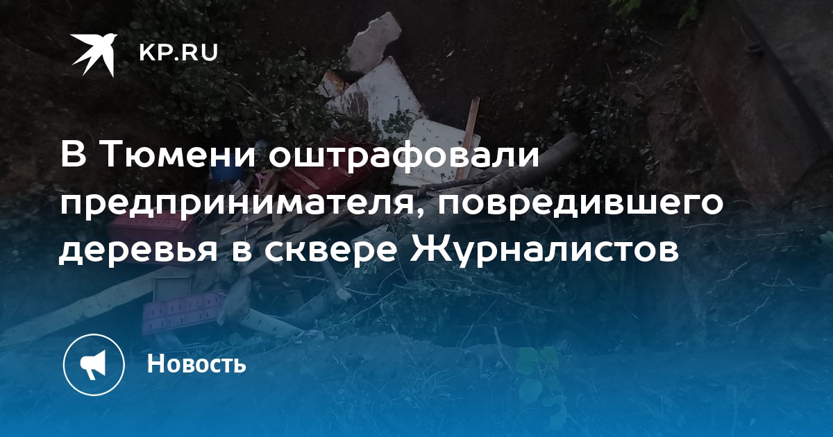 В Тюмени оштрафовали предпринимателя, повредившего деревья в сквере Журналистов - Vimarsana News