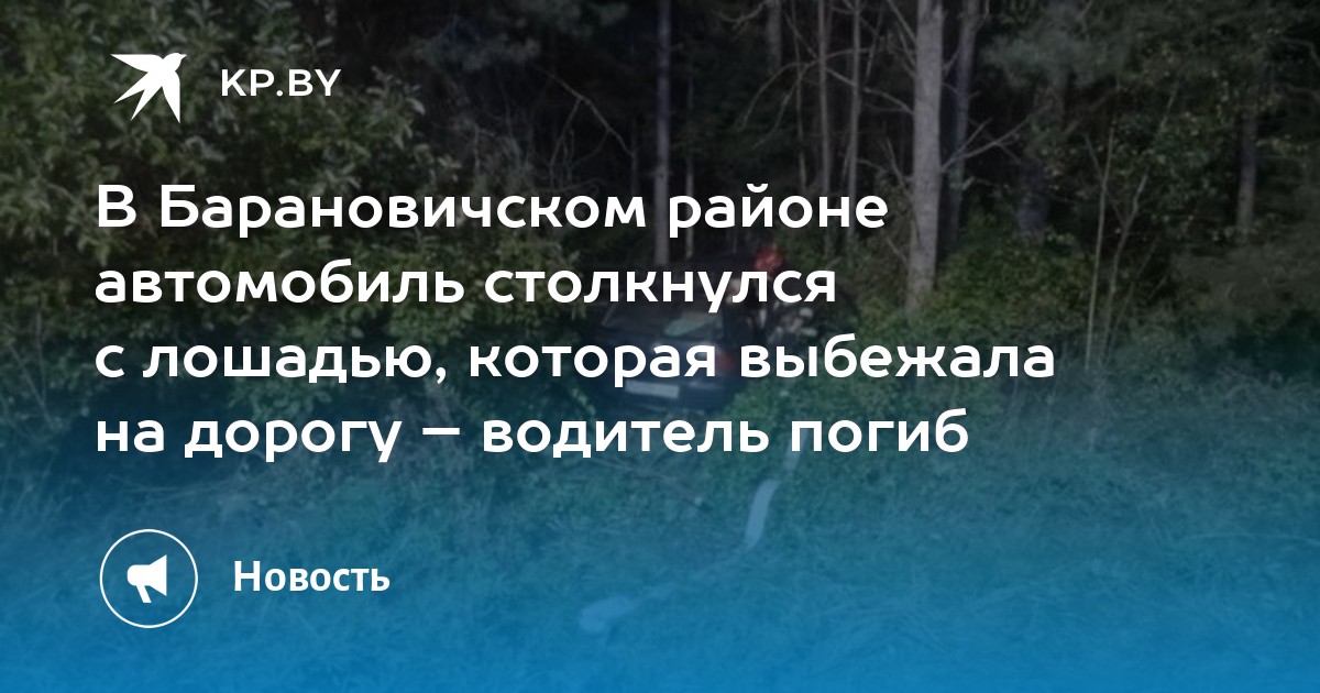 В Барановичском районе автомобиль столкнулся с лошадью, которая выбежала на дорогу – водитель погиб - Vimarsana News