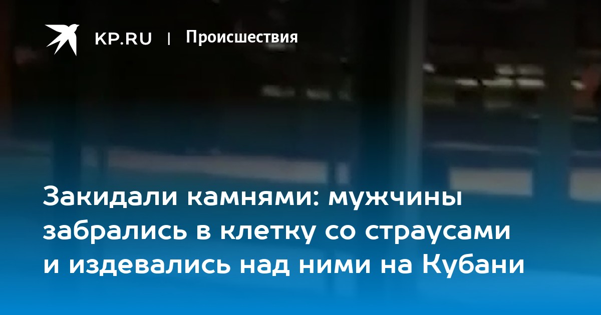 Закидали камнями мужчины забрались в клетку со страусами