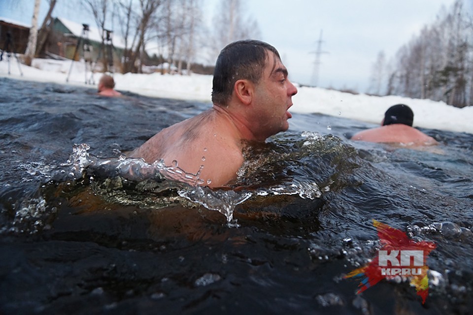 моржи екатеринбурга