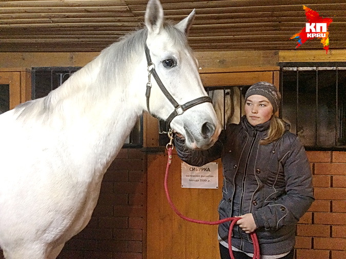 В конно-спортивном клубе "Олимп".