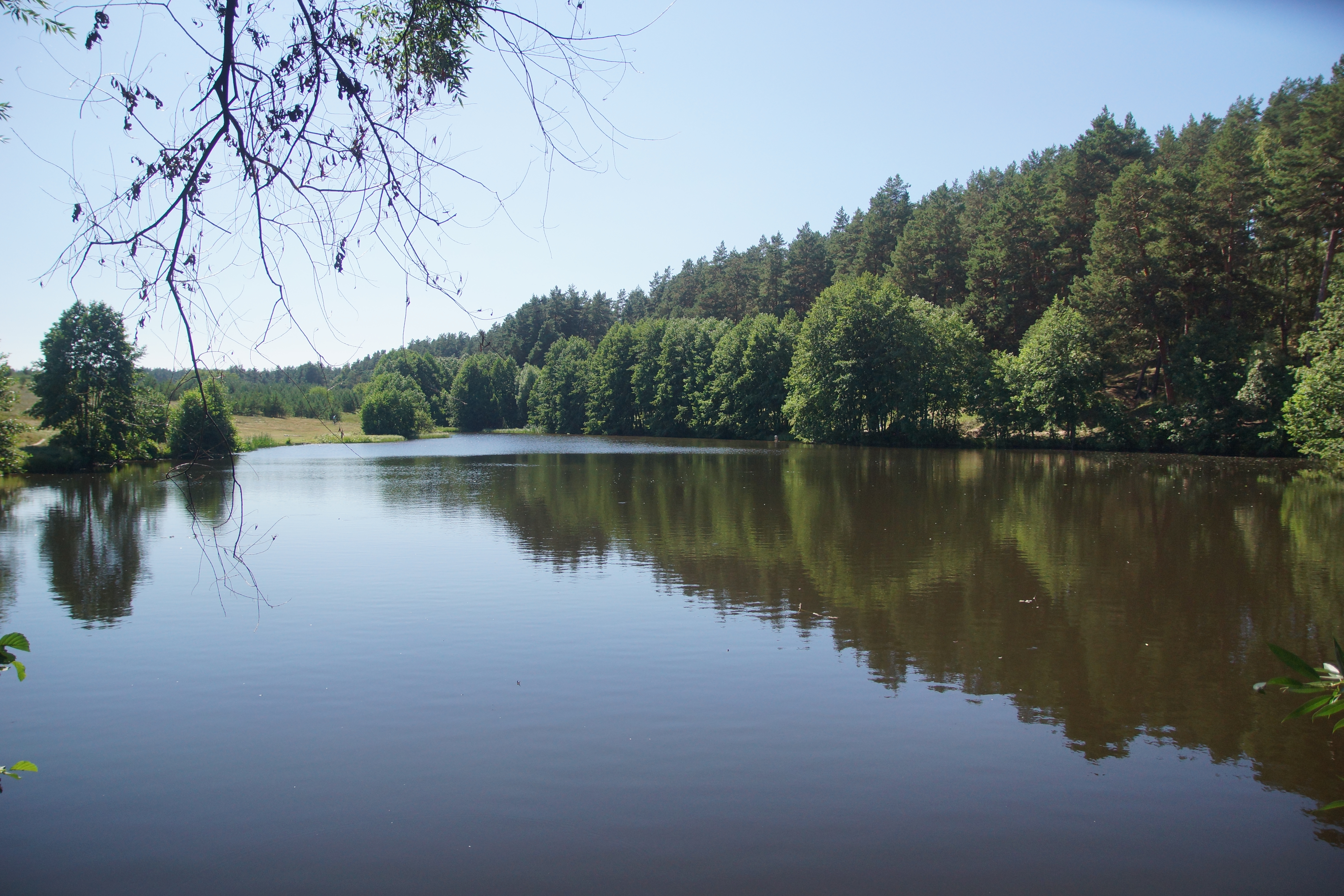 Покой чайного озера