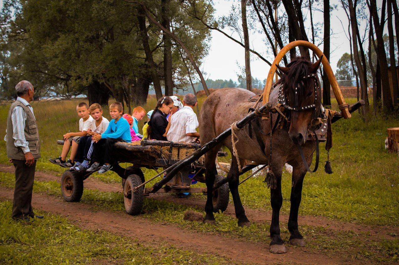 Фото: vk.com/salyador