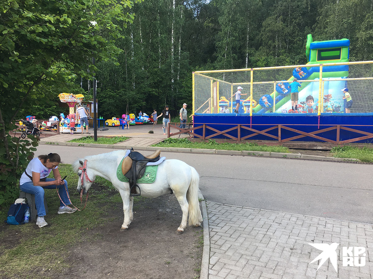 Покататься на пони в течение десяти минут стоит 300 рублей. Услуга сугубо для детей.