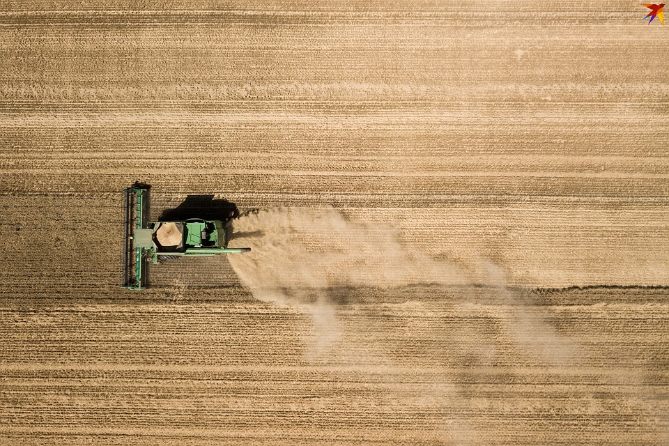 ������ ������� �� ������ ����: ������� ������