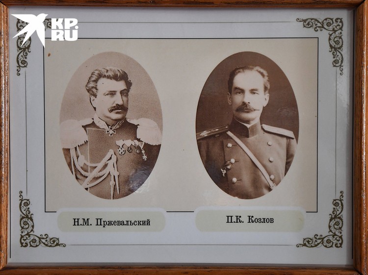 Портреты великих русских исследователей в коллекции музея. Фото: Кяхтинский краеведческий музей/Репродукция