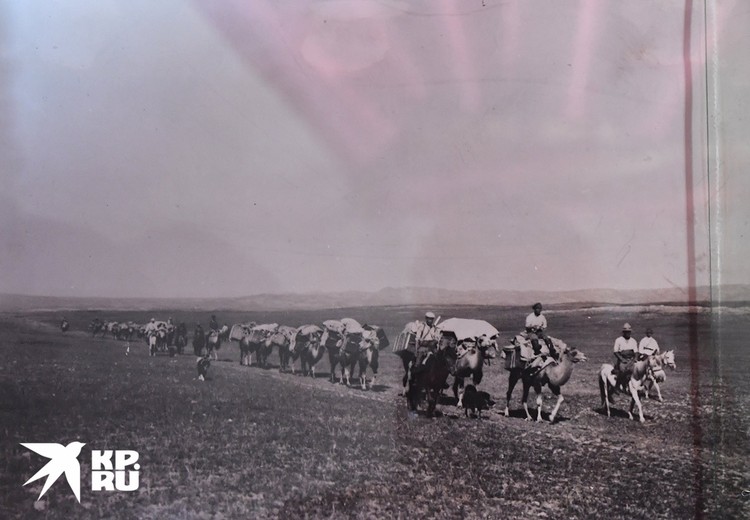 Караван П.К. Козлова во время Монголо-Тибетской экспедиции 1923-1926 г.г. Фото: Кяхтинский краеведческий музей/Репродукция