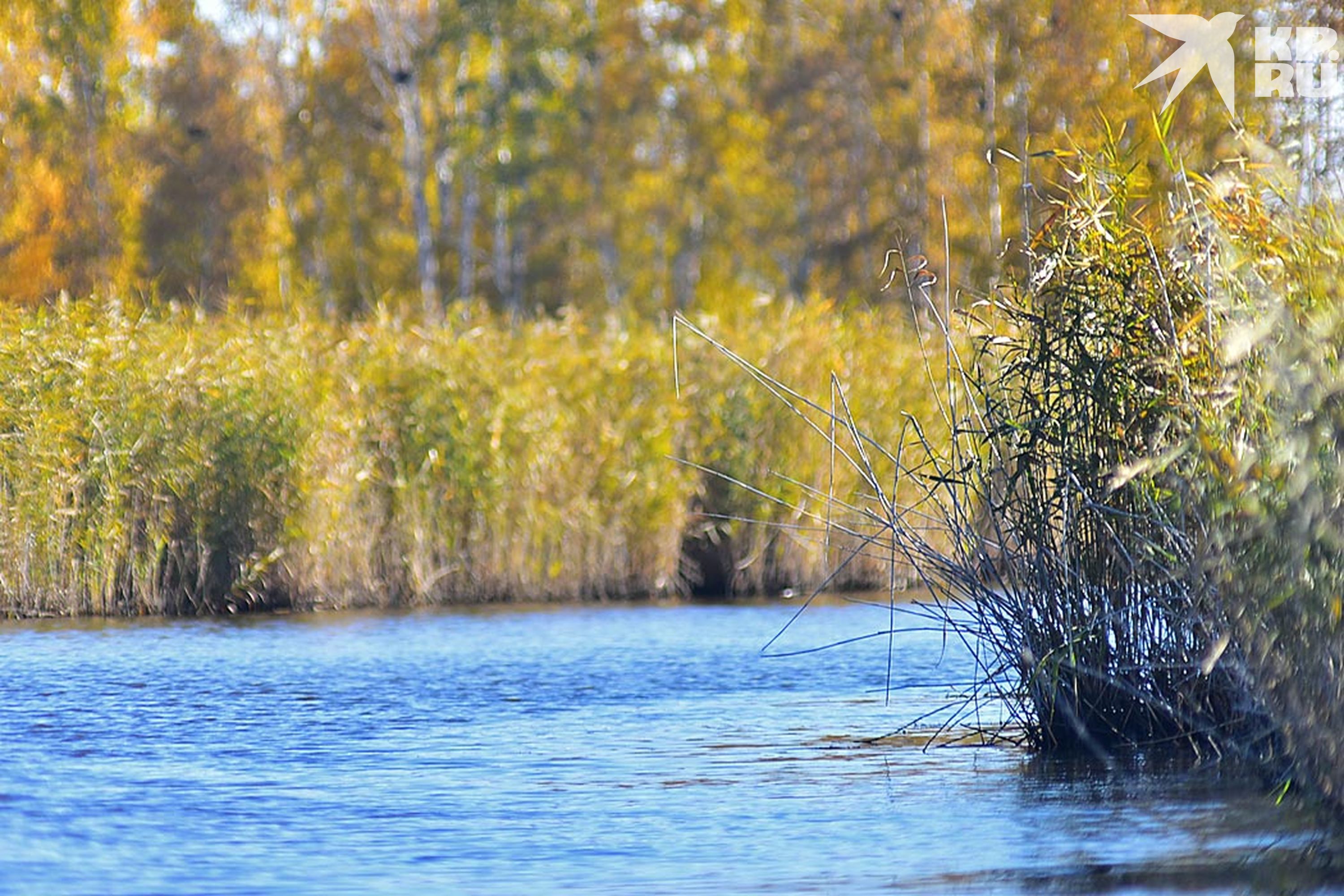 Местные думали, что на озере поселилось чудище.