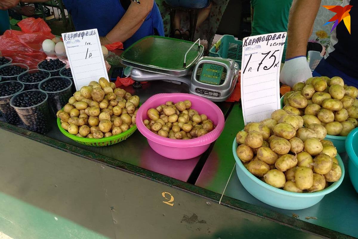 почем огурцы на комаровке. Смотреть фото почем огурцы на комаровке. Смотреть картинку почем огурцы на комаровке. Картинка про почем огурцы на комаровке. Фото почем огурцы на комаровке почем огурцы на комаровке. Смотреть фото почем огурцы на комаровке. Смотреть картинку почем огурцы на комаровке. Картинка про почем огурцы на комаровке. Фото почем огурцы на комаровке