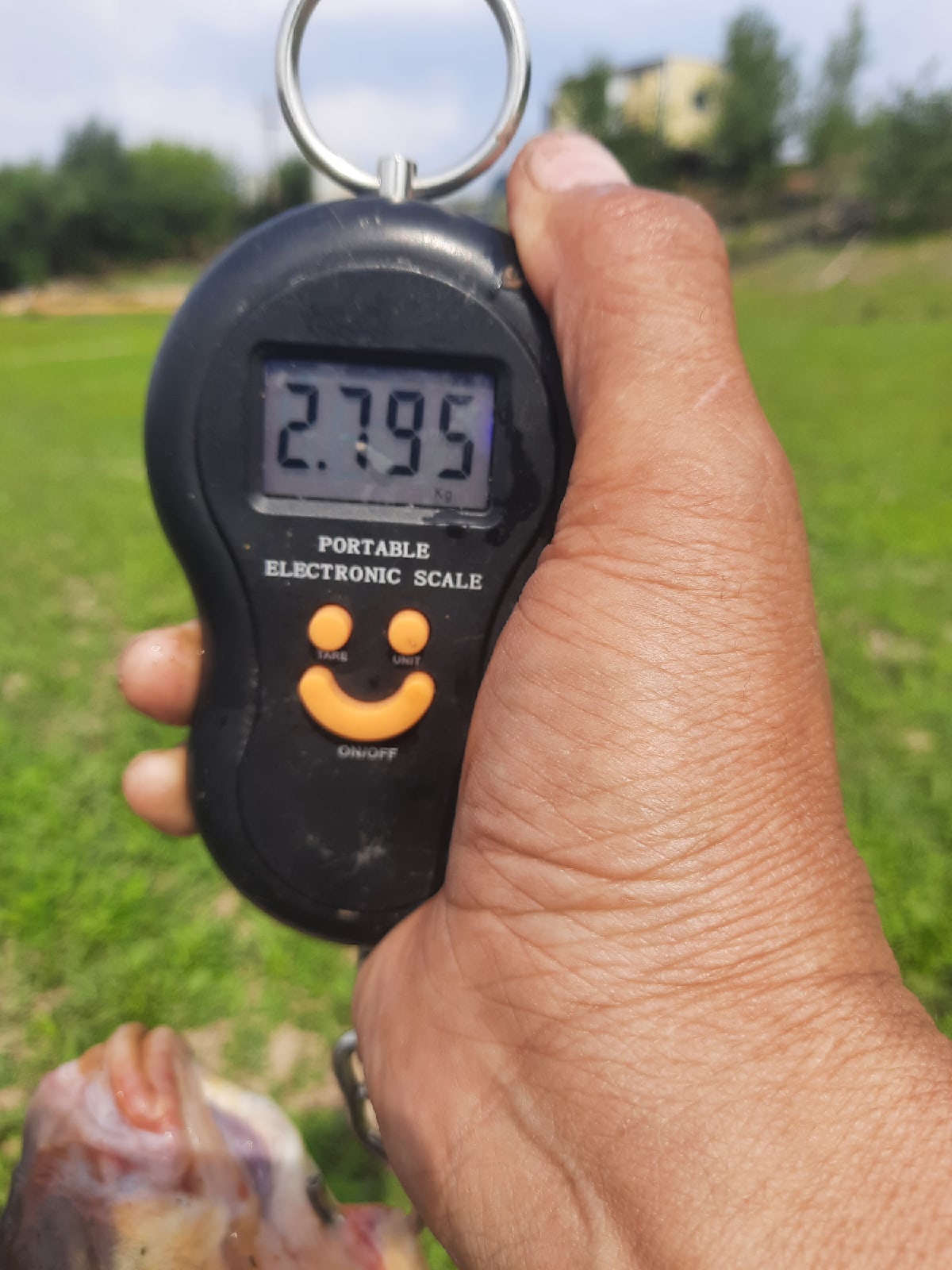 Вес приличный, стоило охоты