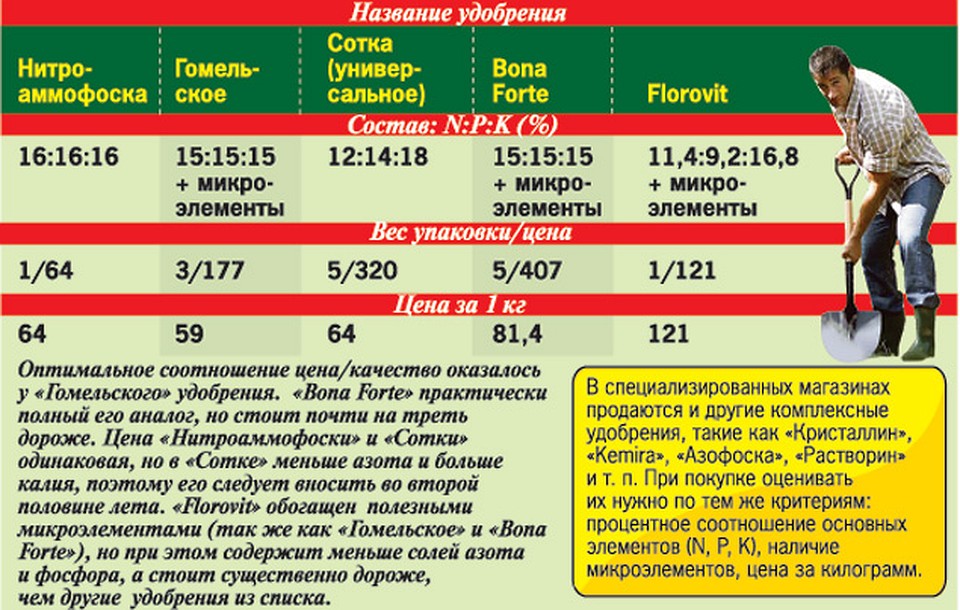 В алтайском крае сколько процентов. В алтайском крае сколько процентов