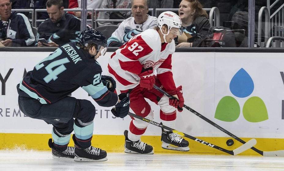 Наместников еще не та давно выходил на лед за «Детройт». Фото: Reuters