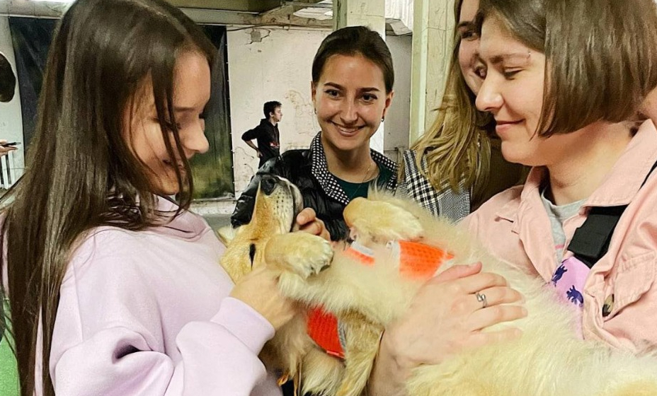 Щербакова обзавелась питомцем после посещения благотворительной выставки. 
Фото: Соцсети Подарок судьбы