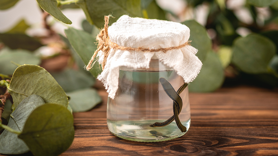 К чему снятся пиявки