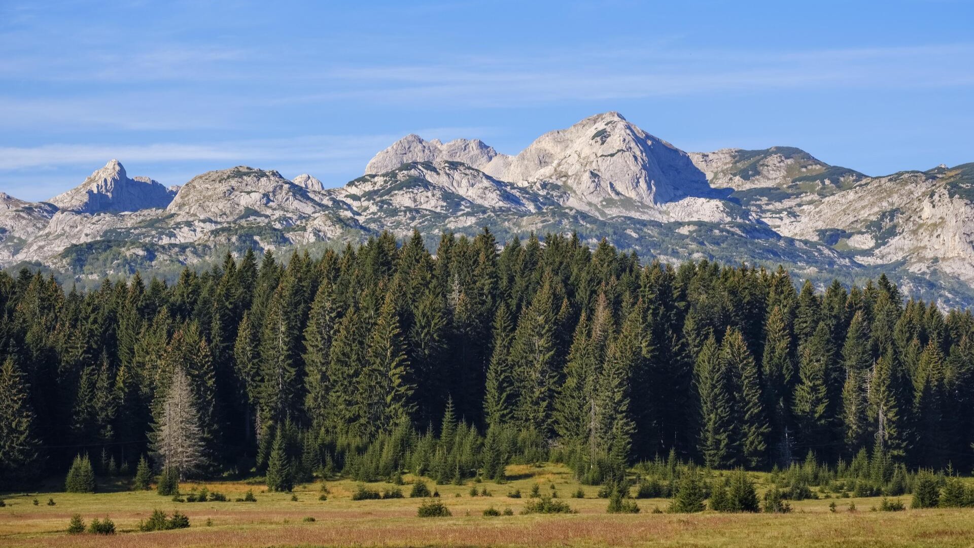 Массив Дурмитор, Национальный парк Дурмитор, недалеко от Жабляка.