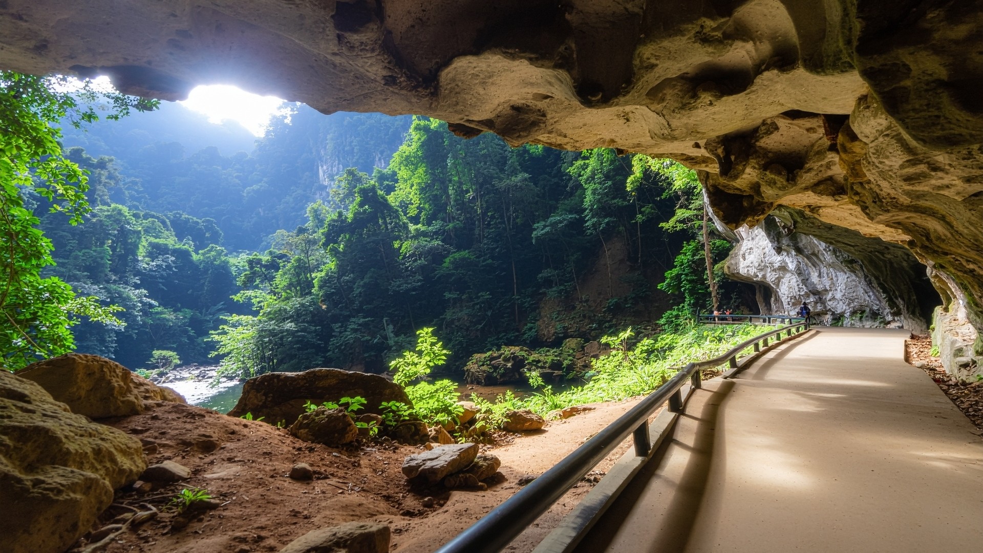 Национальный парк Гунунг-Мулу, расположенный в Борнео.